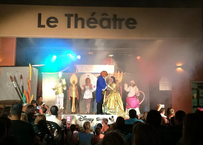 Hôtel accueillant les animaux: L'Hôtel du Méditerranée