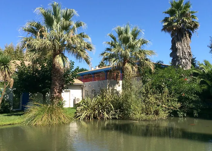 Hôtel accueillant les animaux: L'Hôtel du Méditerranée
